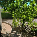 G&p Housing - Premium Apartman Altensteig