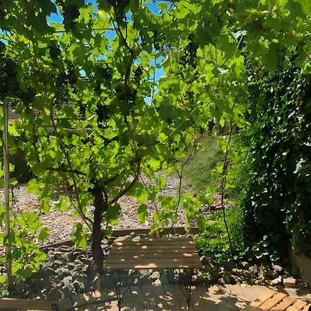 Apartment G&p Housing - Premium Altensteig