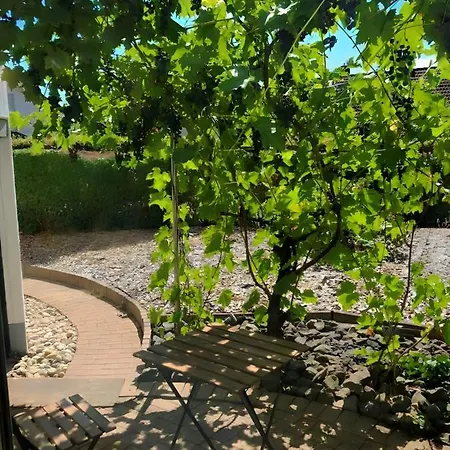 G&p Housing - Premium Apartment Altensteig